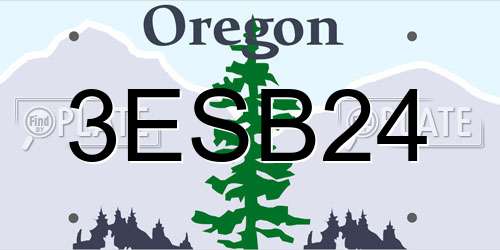 3ESB24 Oregon License Plate