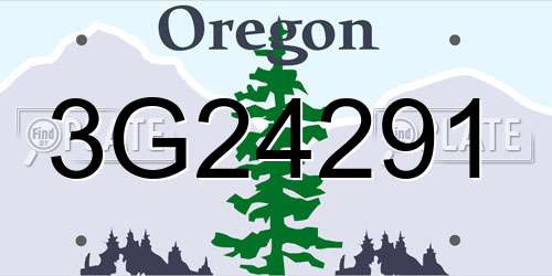 3G24291 Oregon License Plate