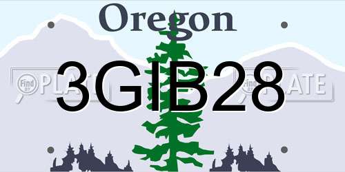3GIB28 Oregon License Plate