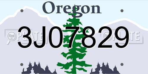 3J07829 Oregon License Plate