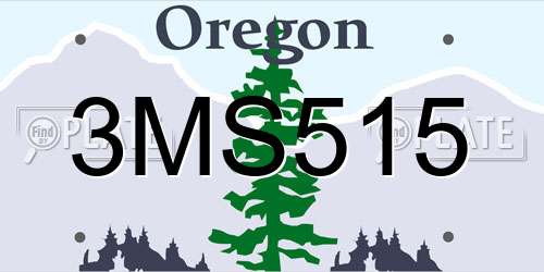 3MS515 Oregon License Plate
