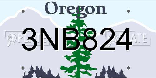 3NB824 Oregon License Plate