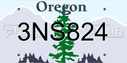3NS824 Oregon License Plate