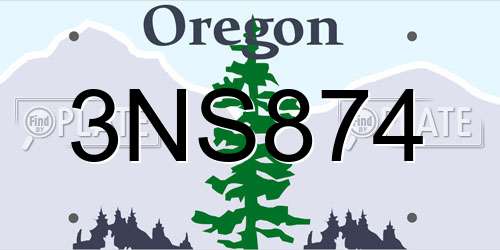 3NS874 Oregon License Plate