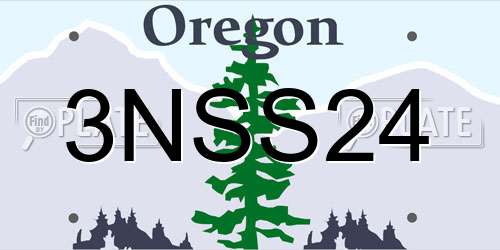 3NSS24 Oregon License Plate