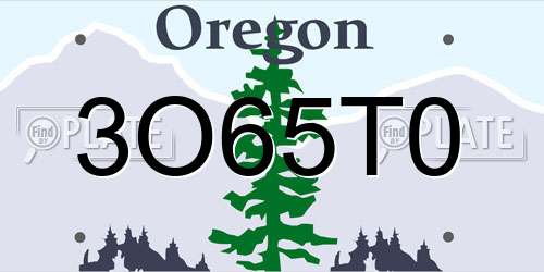 3O65T0 Oregon License Plate