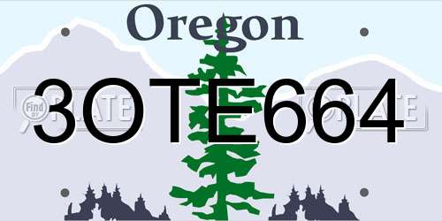 3OTE664 Oregon License Plate