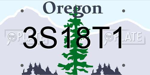3S18T1 Oregon License Plate