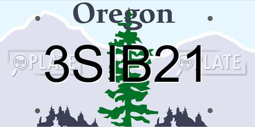 3SIB21 Oregon License Plate