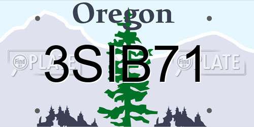 3SIB71 Oregon License Plate