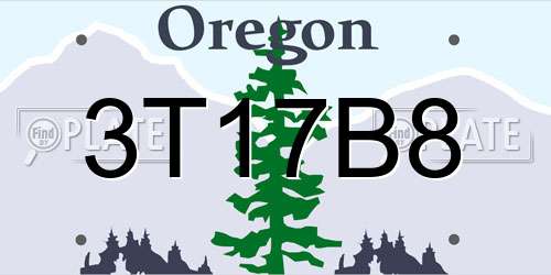 3T17B8 Oregon License Plate