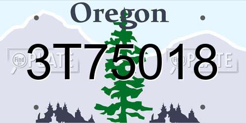3T75018 Oregon License Plate