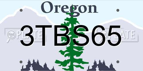 3TBS65 Oregon License Plate