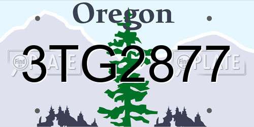 3TG2877 Oregon License Plate