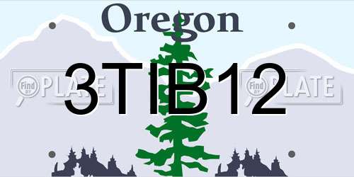 3TIB12 Oregon License Plate