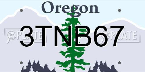 3TNB67 Oregon License Plate