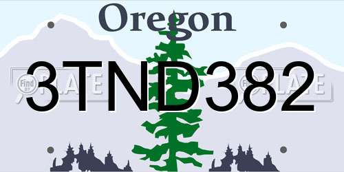 3TND382 Oregon License Plate