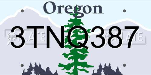 3TNQ387 Oregon License Plate