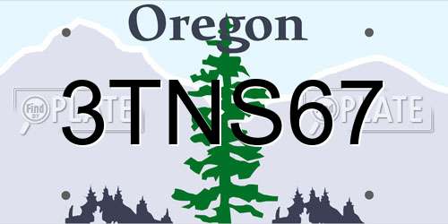 3TNS67 Oregon License Plate