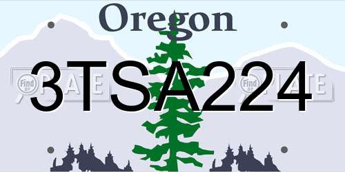 3TSA224 Oregon License Plate