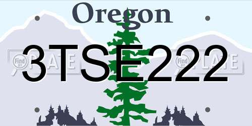 3TSE222 Oregon License Plate