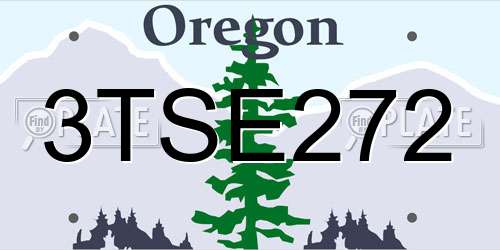 3TSE272 Oregon License Plate