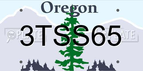 3TSS65 Oregon License Plate