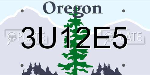 3U12E5 Oregon License Plate