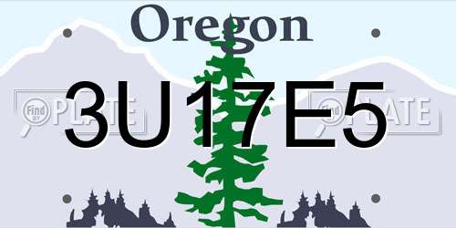 3U17E5 Oregon License Plate