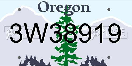 3W38919 Oregon License Plate