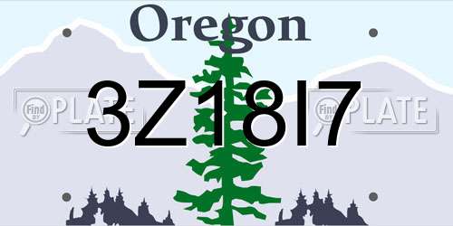 3Z18I7 Oregon License Plate