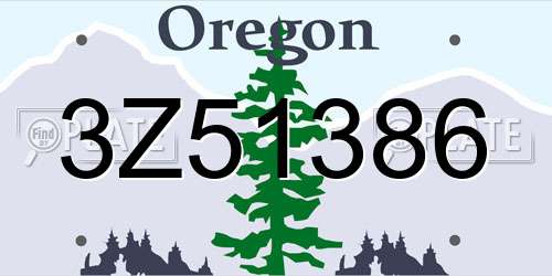 3Z51386 Oregon License Plate