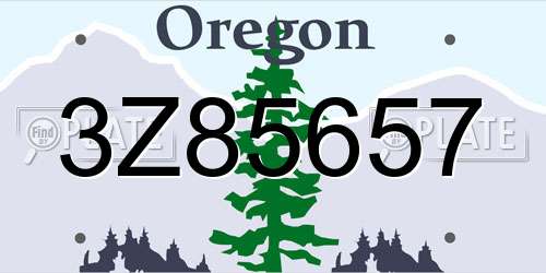 3Z85657 Oregon License Plate