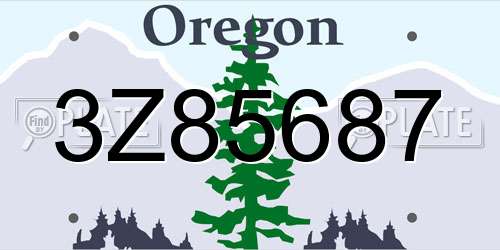 3Z85687 Oregon License Plate