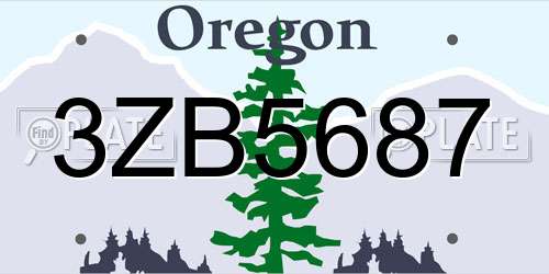 3ZB5687 Oregon License Plate