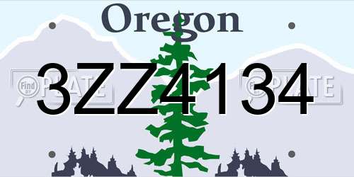 3ZZ4134 Oregon License Plate