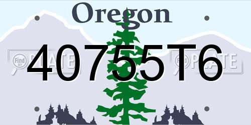 40755T6 Oregon License Plate
