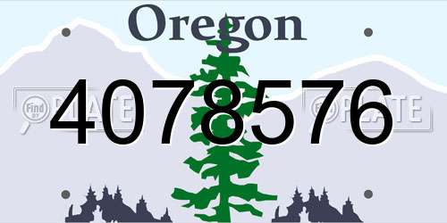 4078576 Oregon License Plate