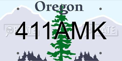 411AMK Oregon License Plate