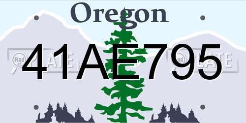 41AE795 Oregon License Plate