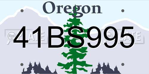 41BS995 Oregon License Plate