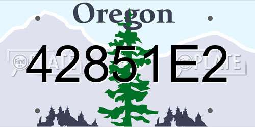 42851E2 Oregon License Plate