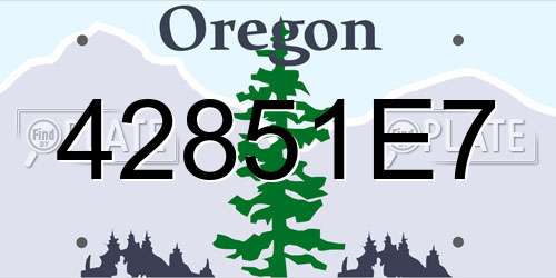 42851E7 Oregon License Plate