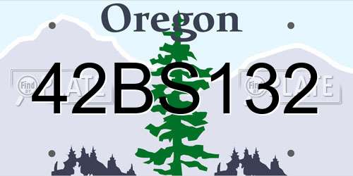 42BS132 Oregon License Plate