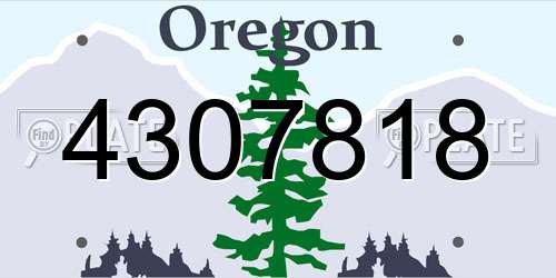 4307818 Oregon License Plate