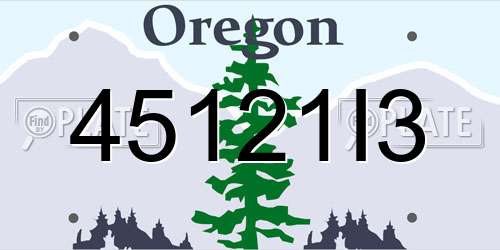 45121I3 Oregon License Plate