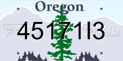 45171I3 Oregon License Plate