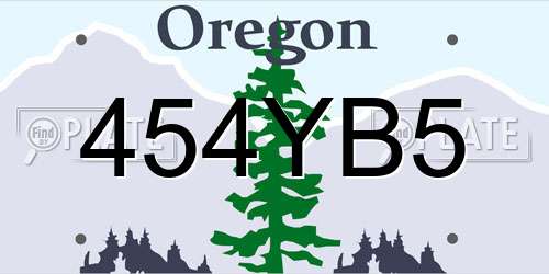 454YB5 Oregon License Plate