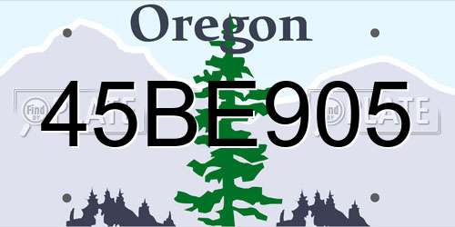 45BE905 Oregon License Plate
