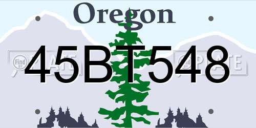 45BT548 Oregon License Plate